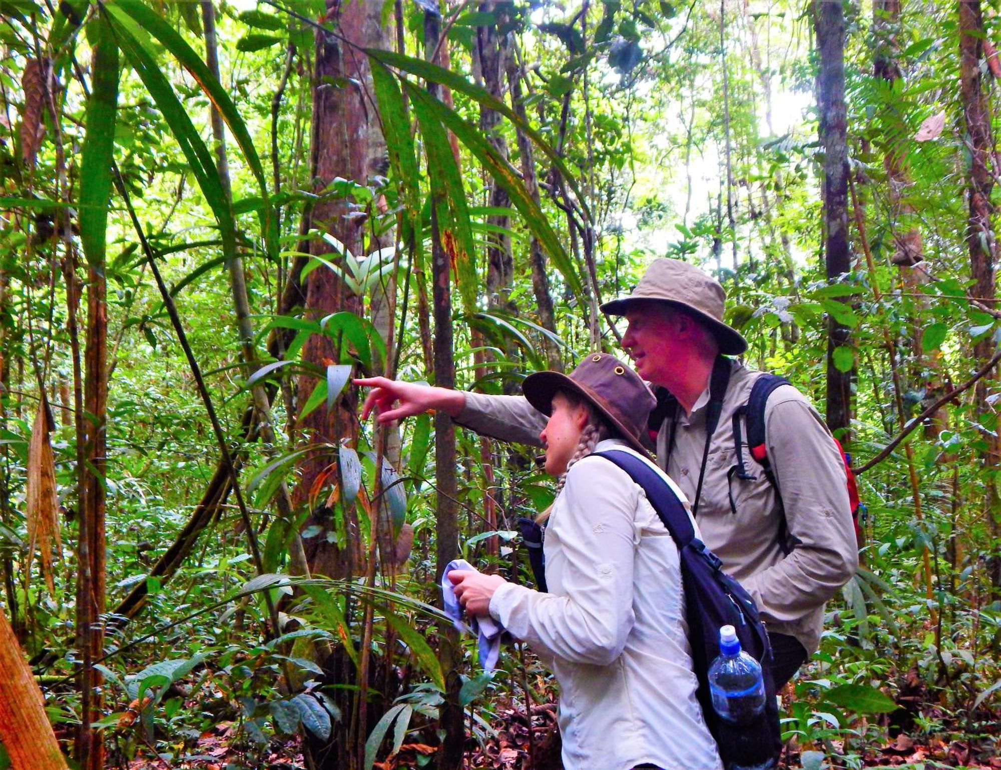 Amazon Acai Lodge Leticia Exterior photo