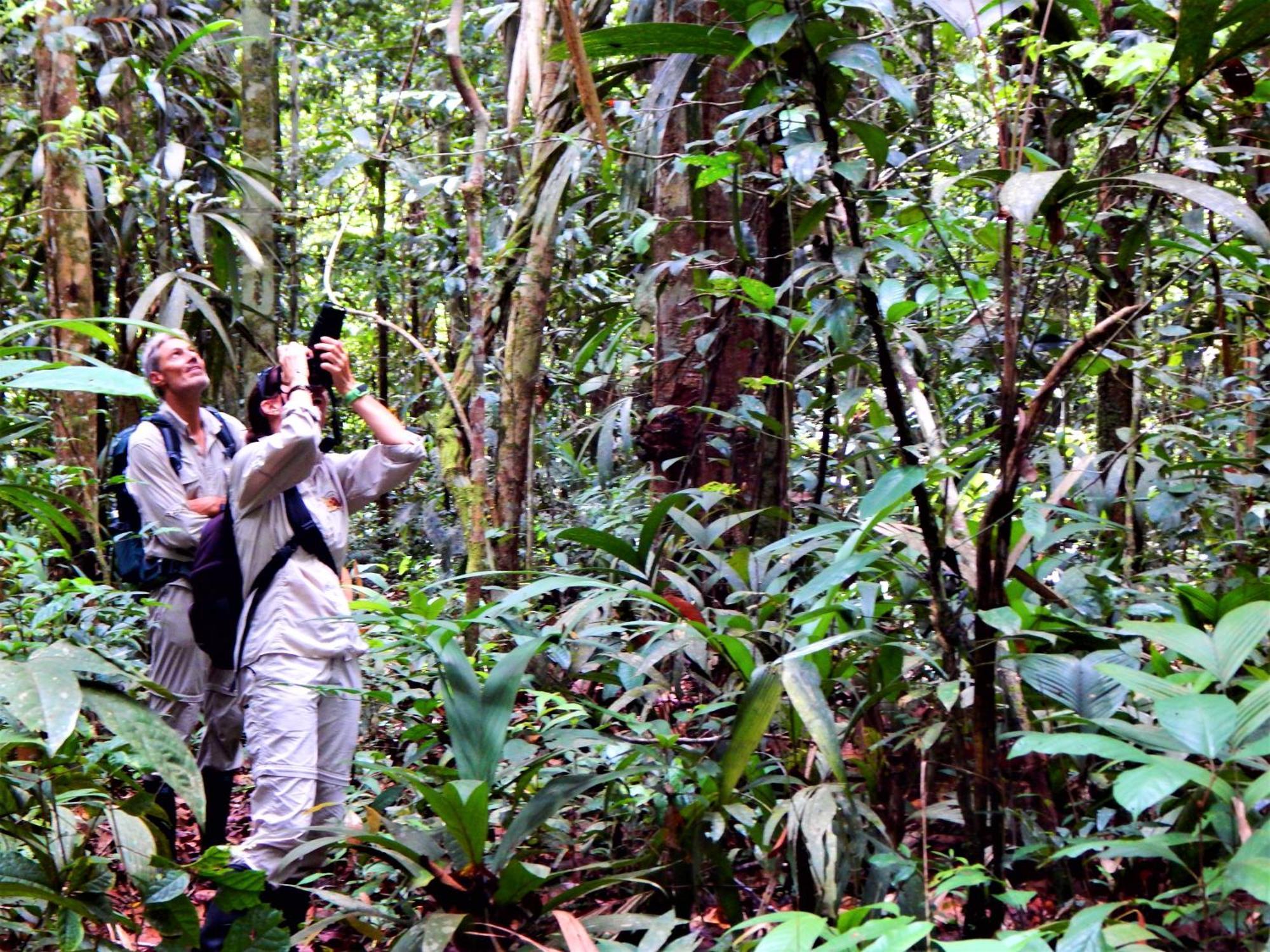 Amazon Acai Lodge Leticia Exterior photo