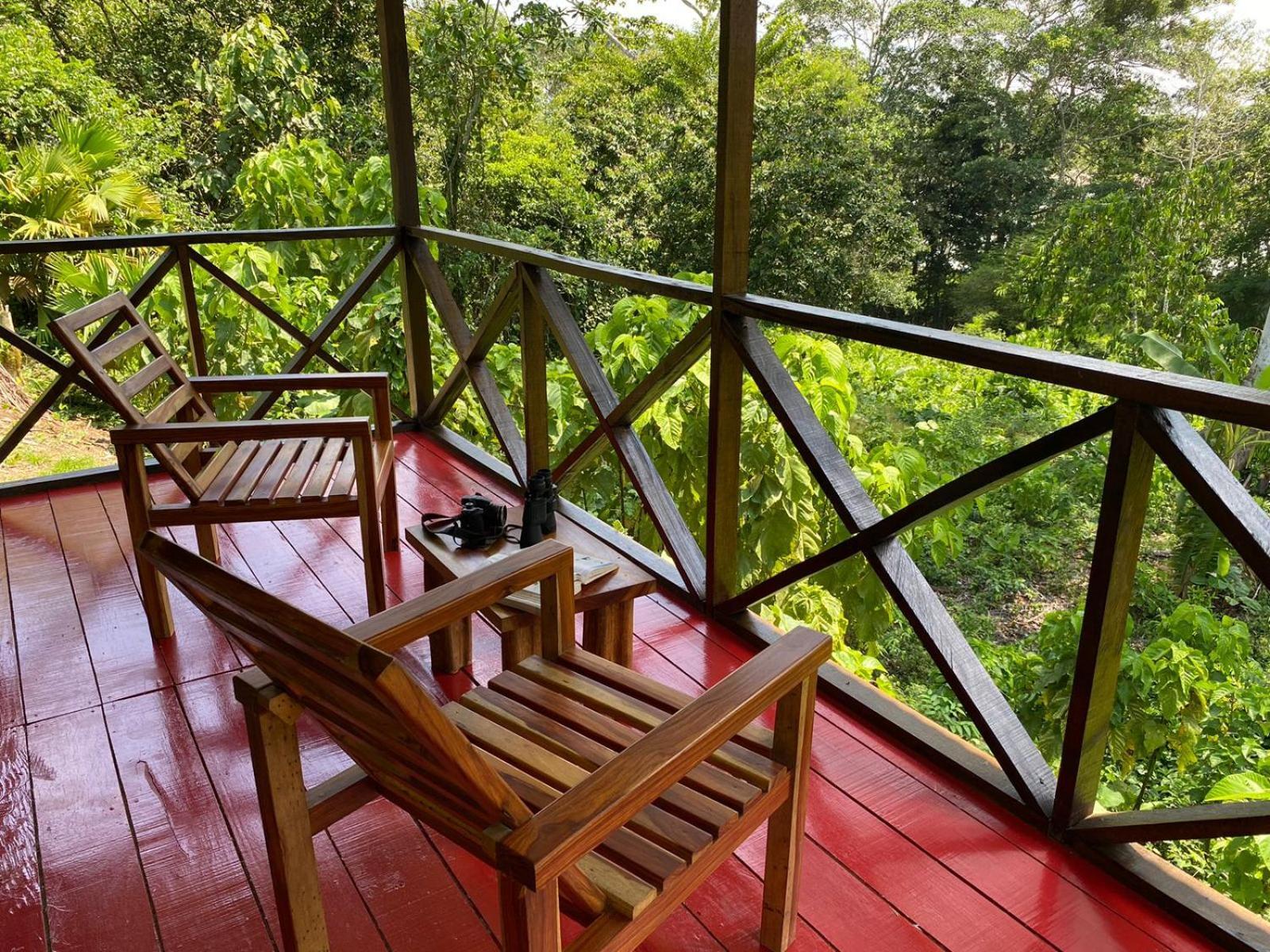 Amazon Acai Lodge Leticia Exterior photo