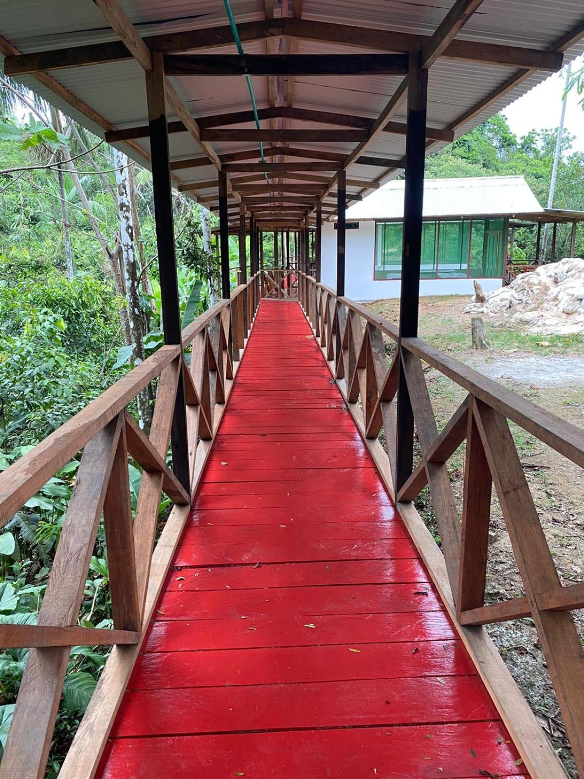 Amazon Acai Lodge Leticia Exterior photo