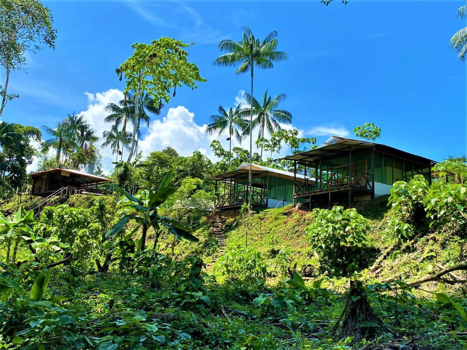 Amazon Acai Lodge Leticia Exterior photo