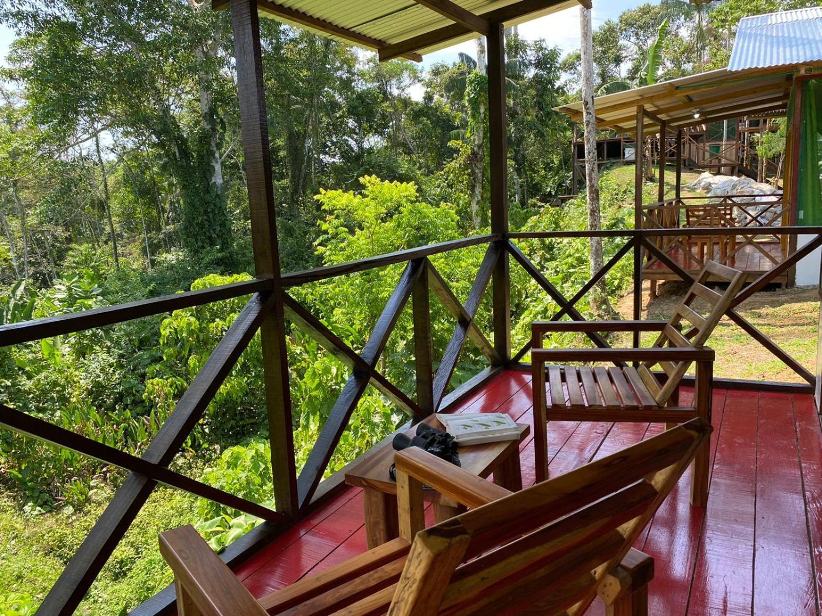 Amazon Acai Lodge Leticia Exterior photo
